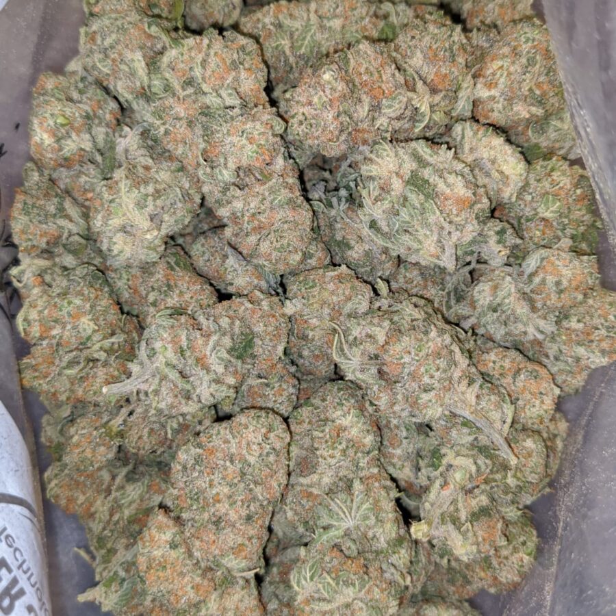 island sweet skunk aaa 2 I $79 Oz - Island Sweet Skunk