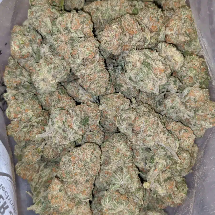 island sweet skunk aaa 2 I $79 Oz - Island Sweet Skunk