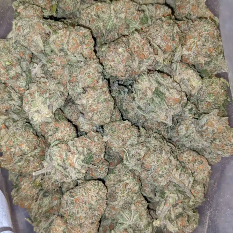 island sweet skunk aaa 3 I $79 Oz - Island Sweet Skunk