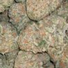 $79 Oz - Island Sweet Skunk