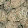 $79 Oz - Island Sweet Skunk