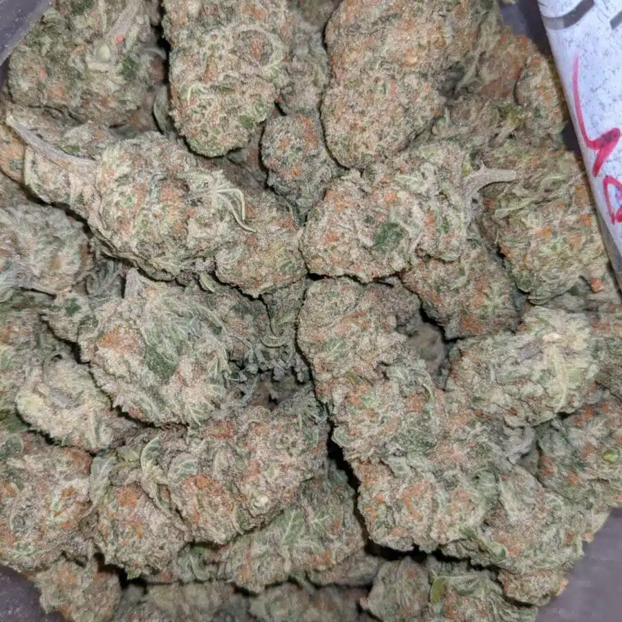 Alternative view of $79 Oz - Island Sweet Skunk