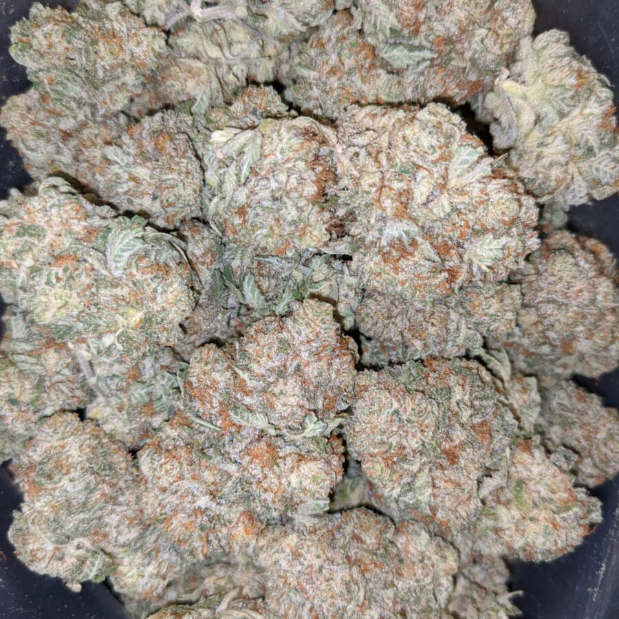 jetfuel aaa 3 I $99 Oz - Jetfuel