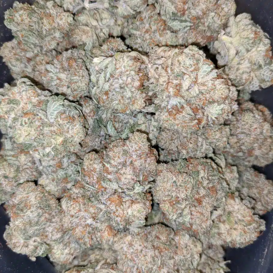 jetfuel aaa 3 I $99 Oz - Jetfuel