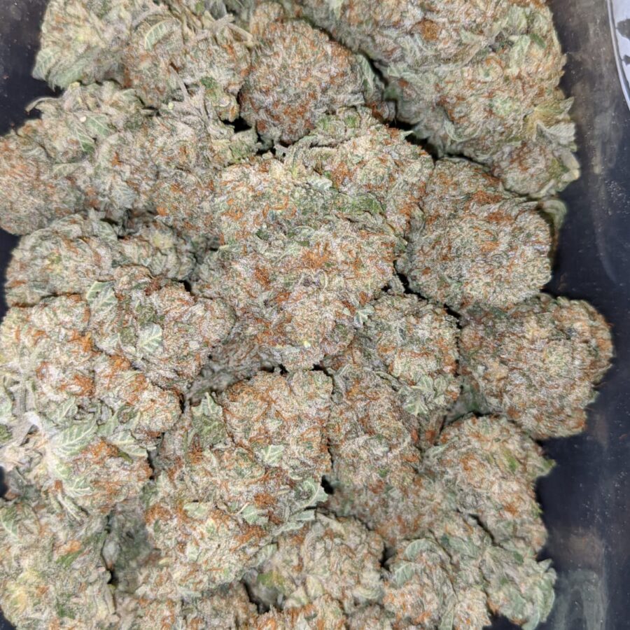 jetfuel aaa 4 I $99 Oz - Jetfuel