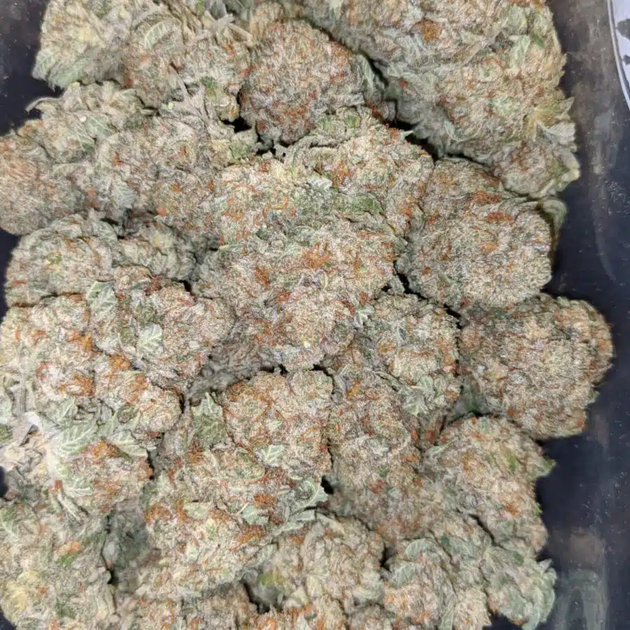 jetfuel aaa 4 I $99 Oz - Jetfuel