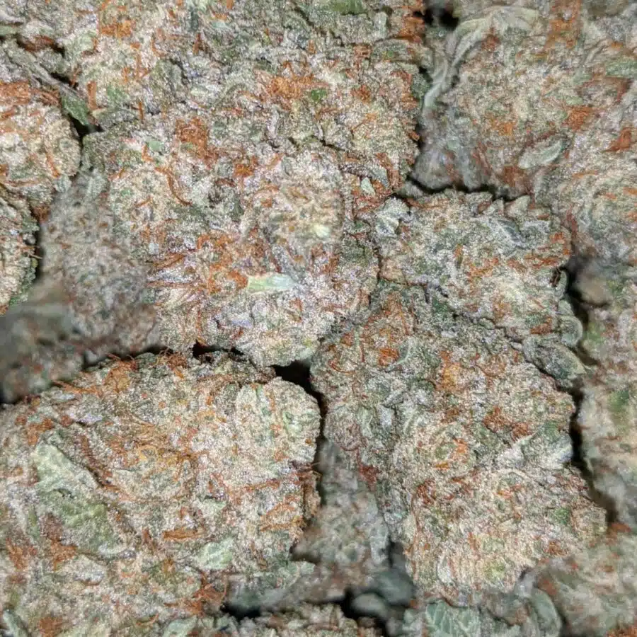 jetfuel aaa 6 I $99 Oz - Jetfuel