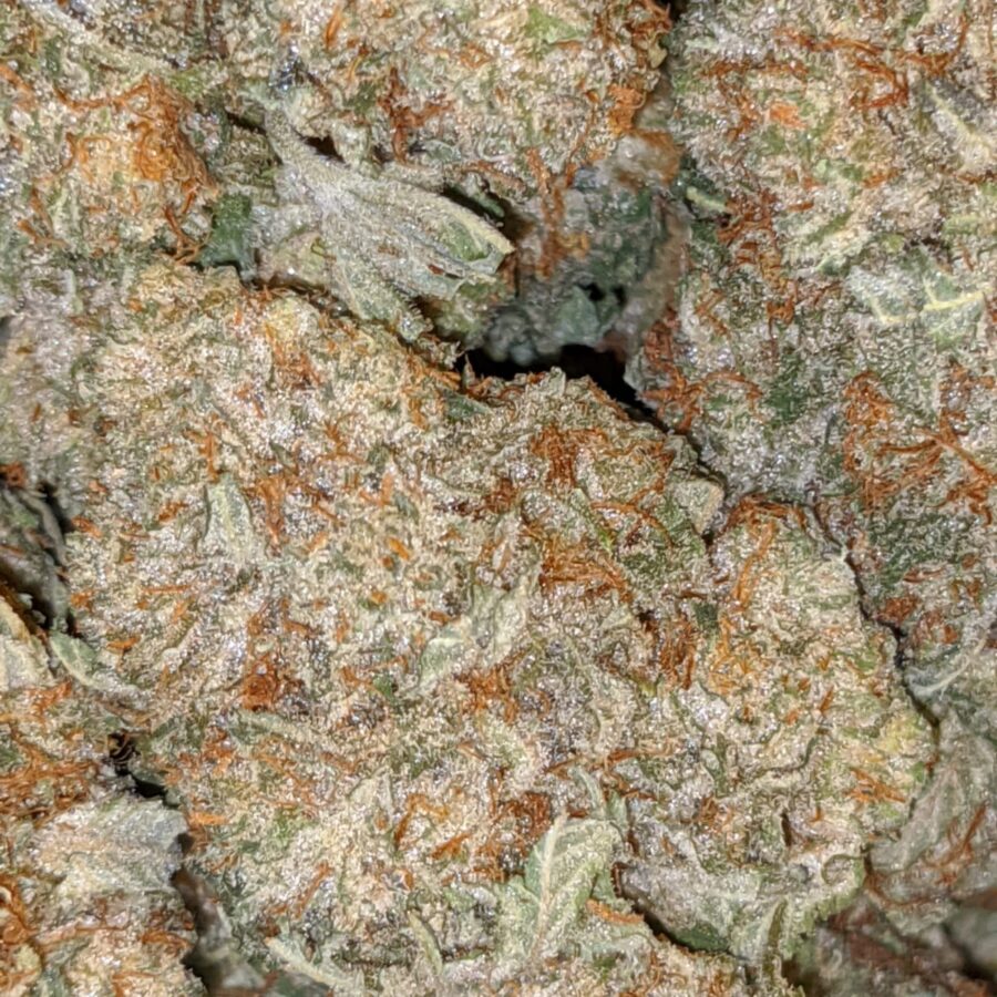 jetfuel aaa 7 I $99 Oz - Jetfuel