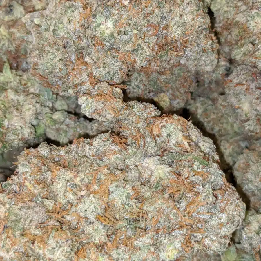 platinum blackberry 2 I $103 Oz - Platinum Blackberry