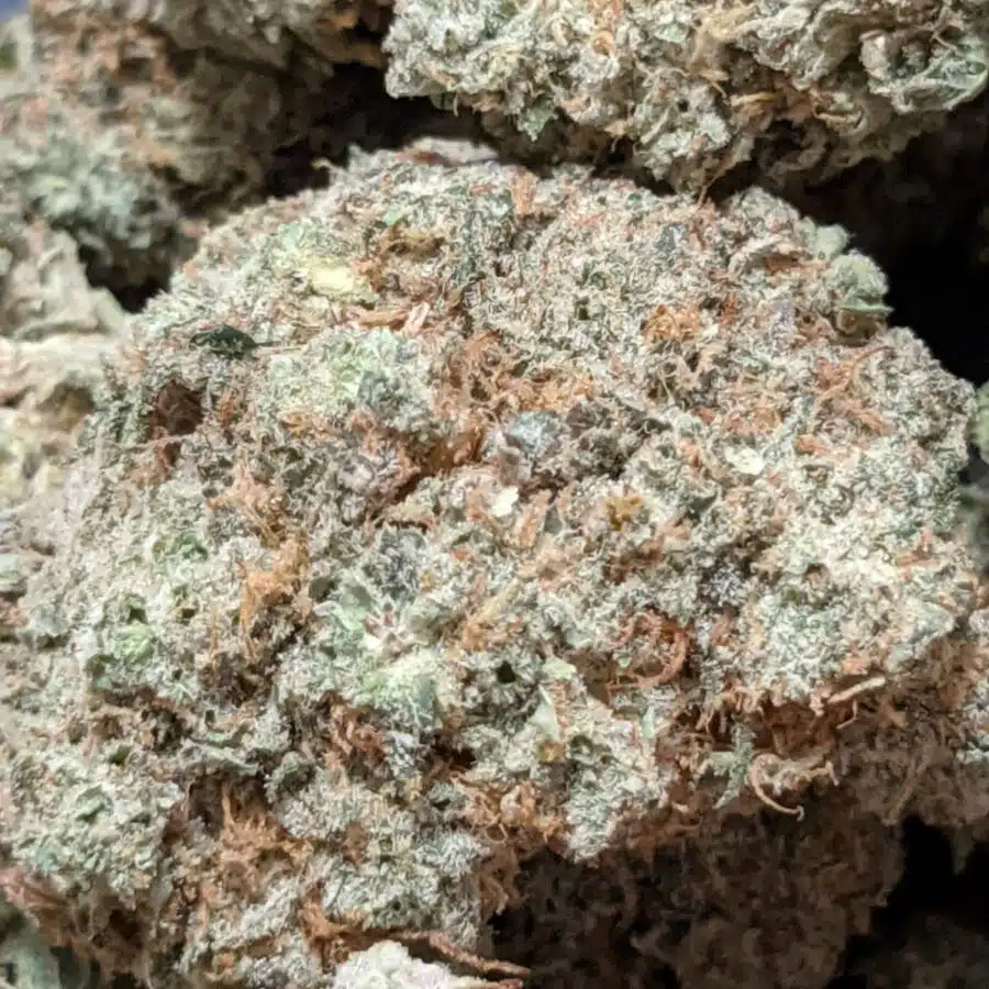 platinum blackberry 4 I $103 Oz - Platinum Blackberry
