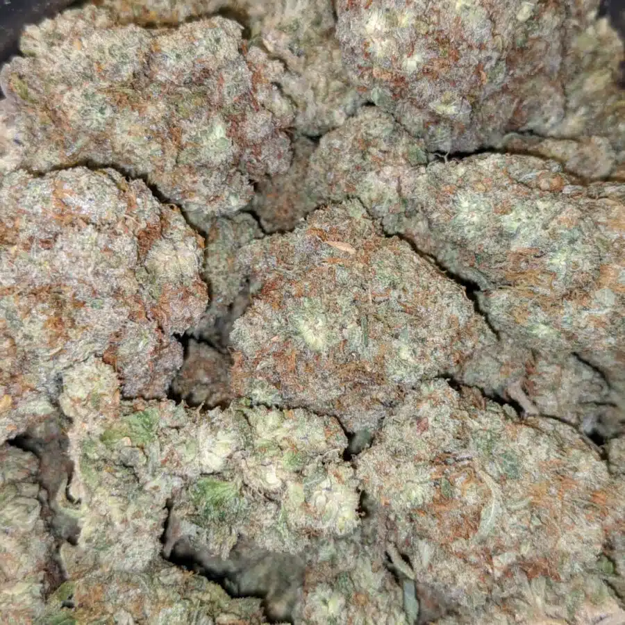 platinum blackberry 8 I $103 Oz - Platinum Blackberry