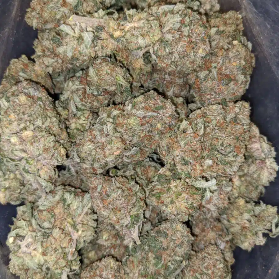 pre 98 bubba 3 1 I $99 Oz - Pre 98 Bubba