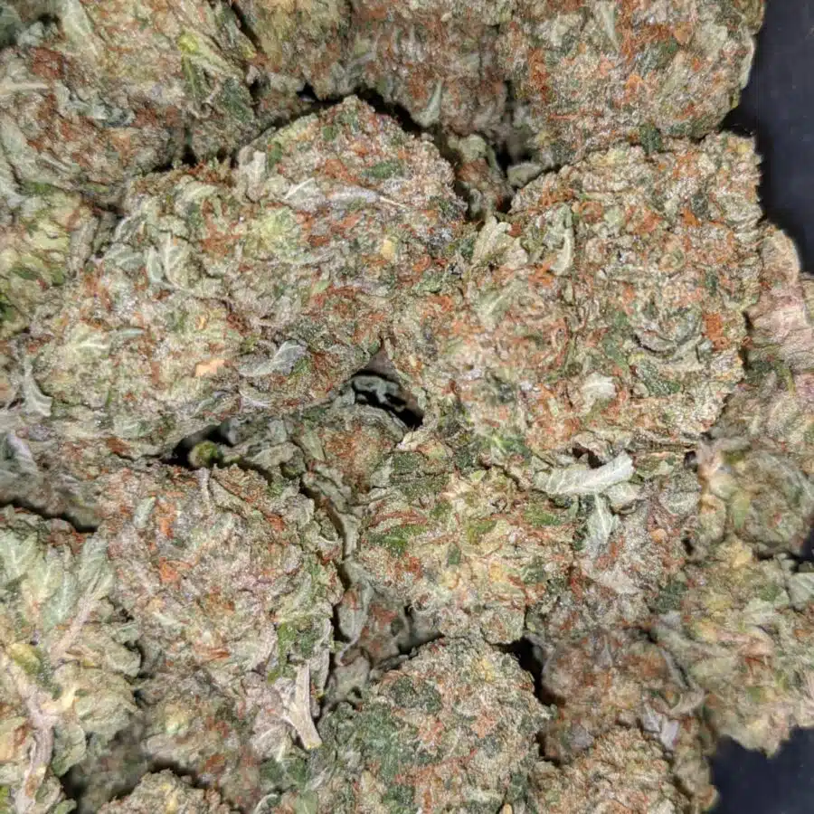 pre 98 bubba 4 1 I $99 Oz - Pre 98 Bubba