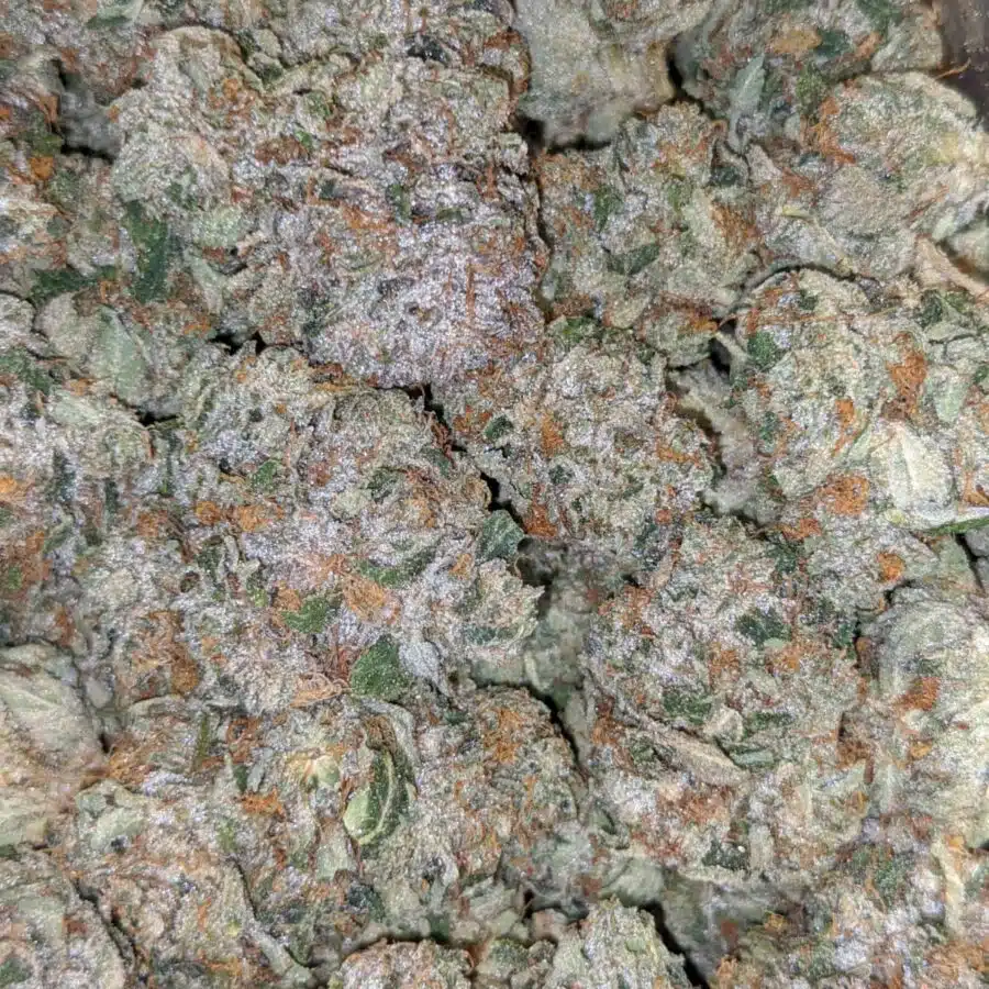 $109 Oz - Death Bubba