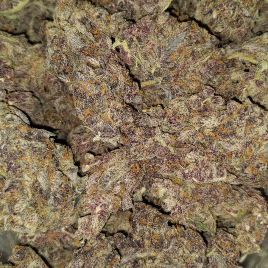 tropicana cookies by oniseed 1 I $109 Oz -Tropicana Cookies