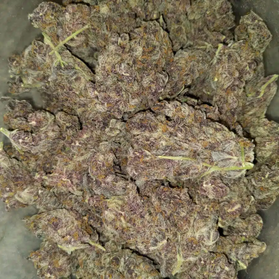 tropicana cookies by oniseed 2 I $109 Oz -Tropicana Cookies
