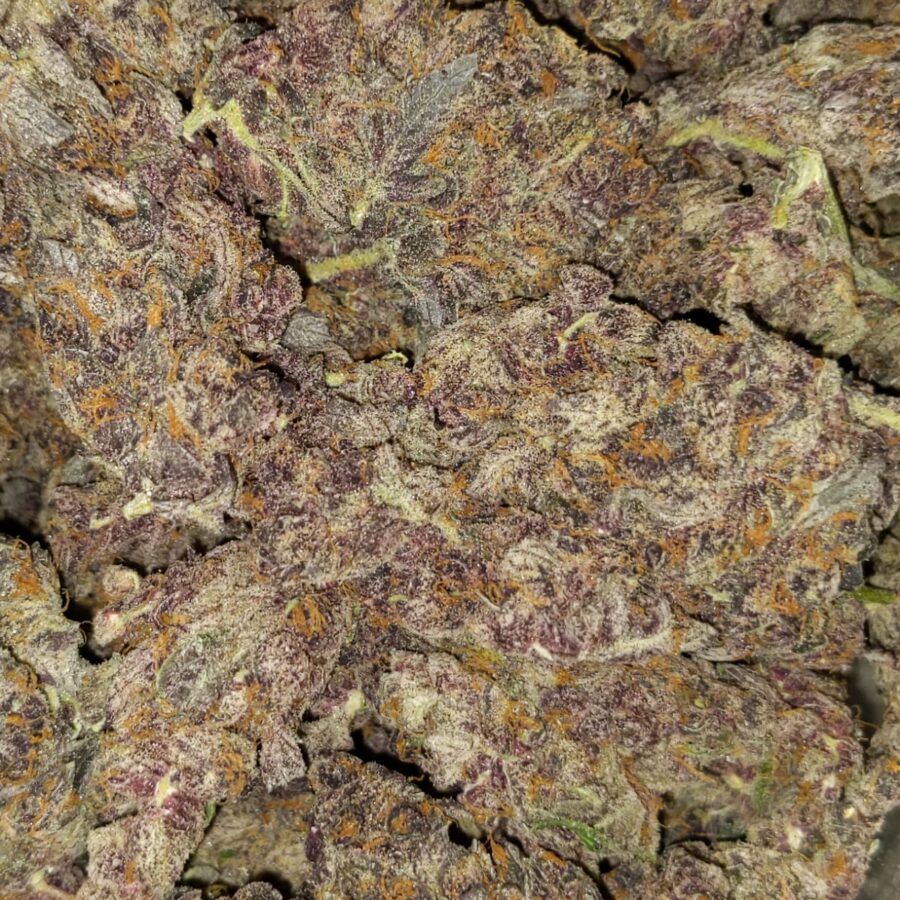 tropicana cookies by oniseed 3 I $109 Oz -Tropicana Cookies