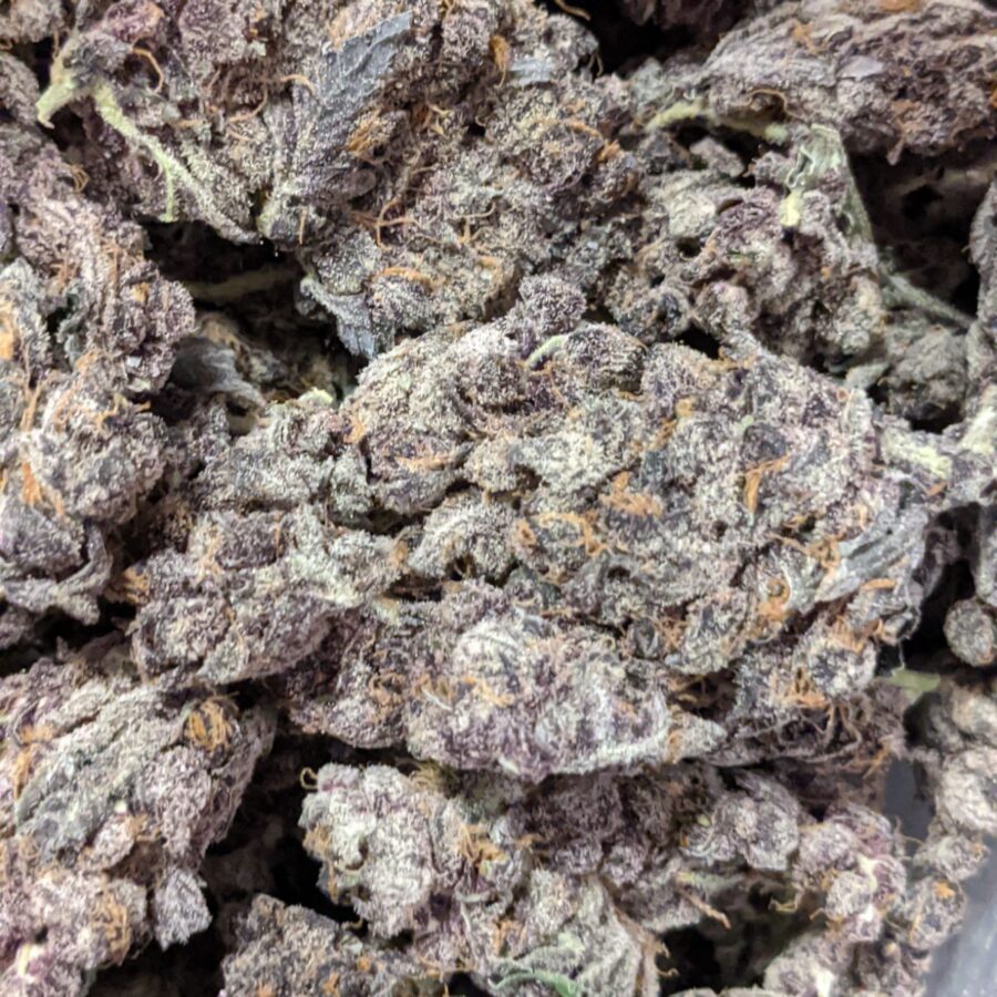 tropicana cookies by oniseed 4 I $109 Oz -Tropicana Cookies