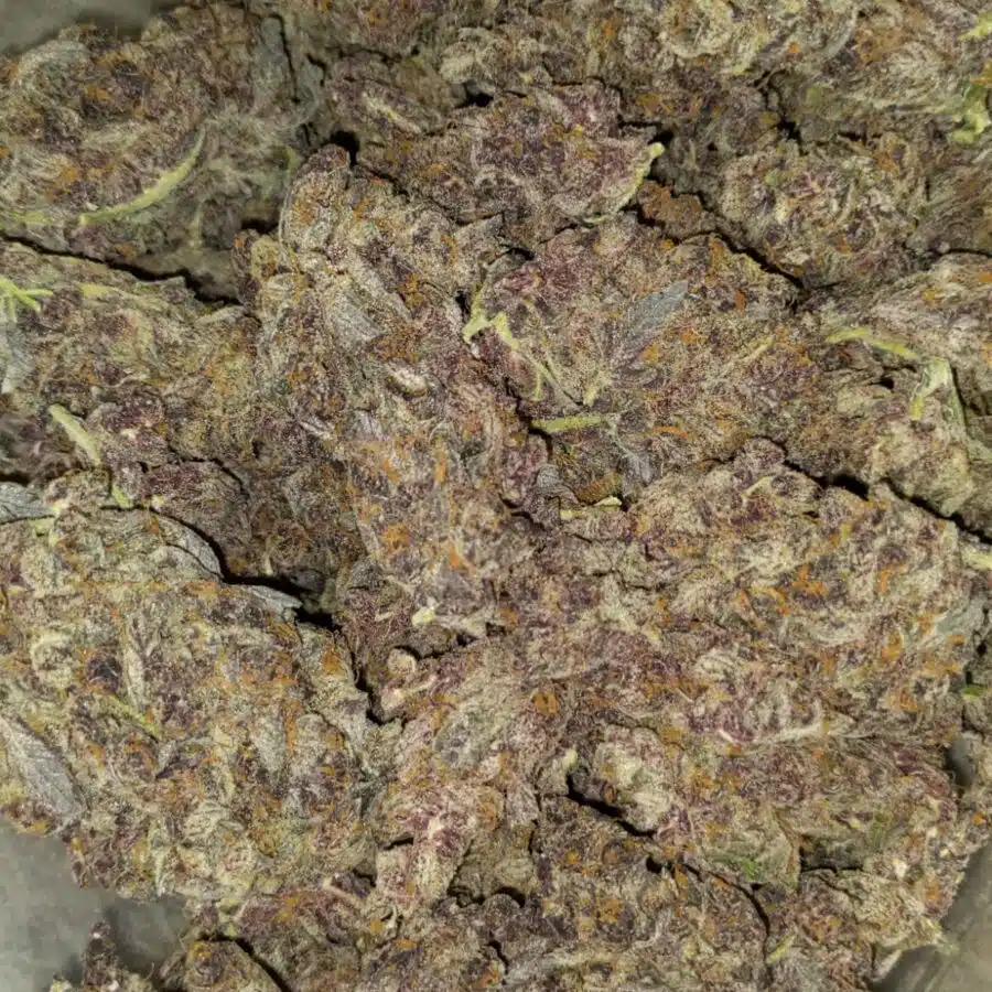 tropicana cookies by oniseed 6 I $109 Oz -Tropicana Cookies