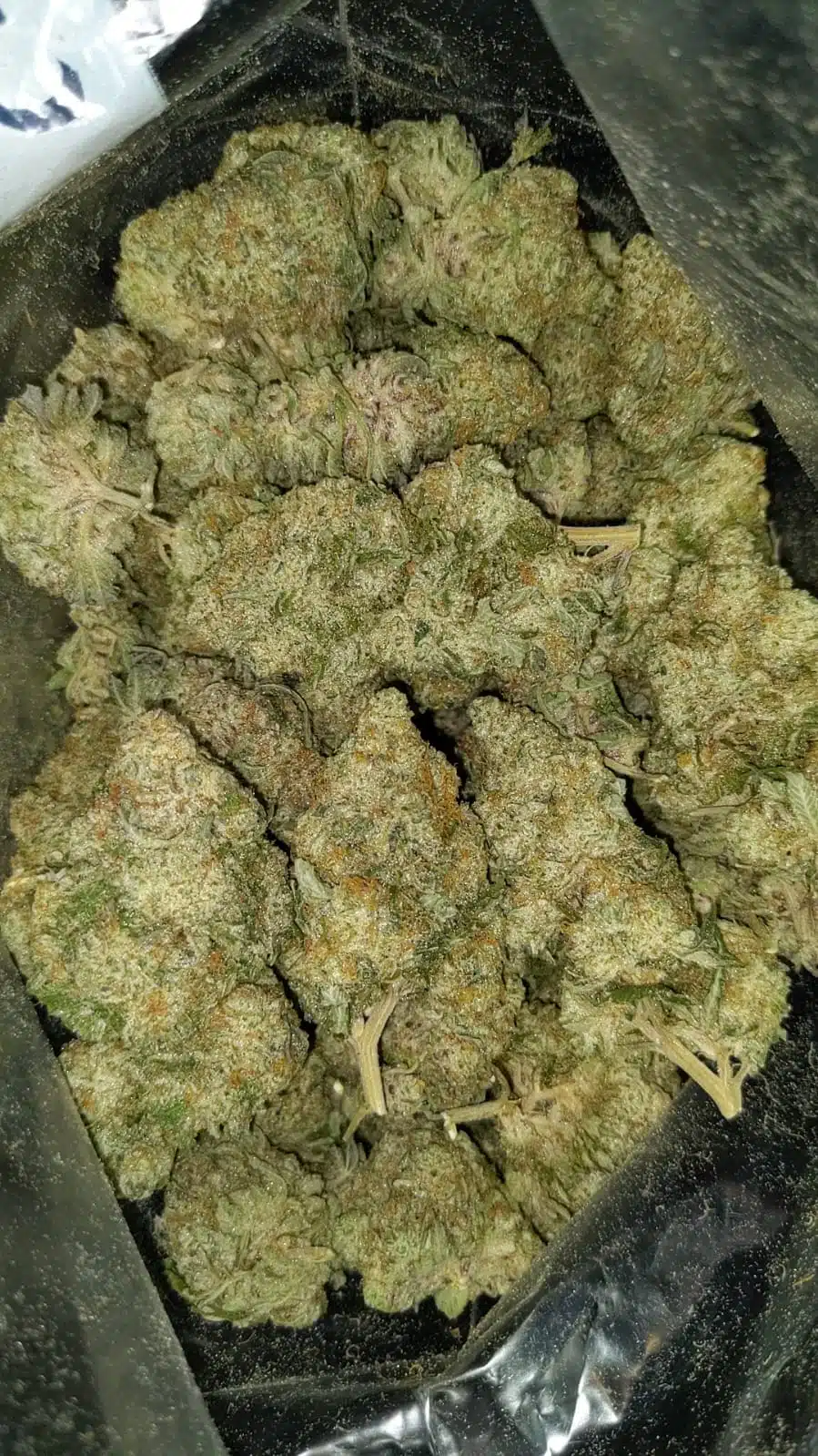 white russian 1 I $99 Oz - White Russian