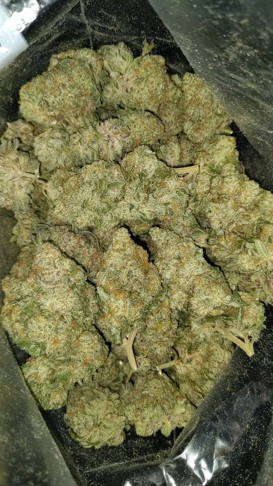 white russian 2 I $99 Oz - White Russian