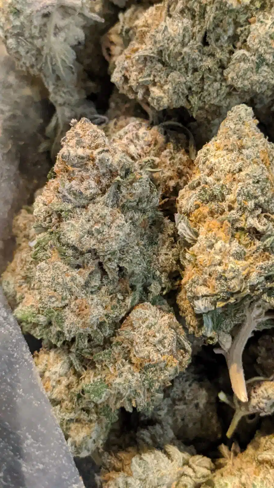white russian 4 I $99 Oz - White Russian