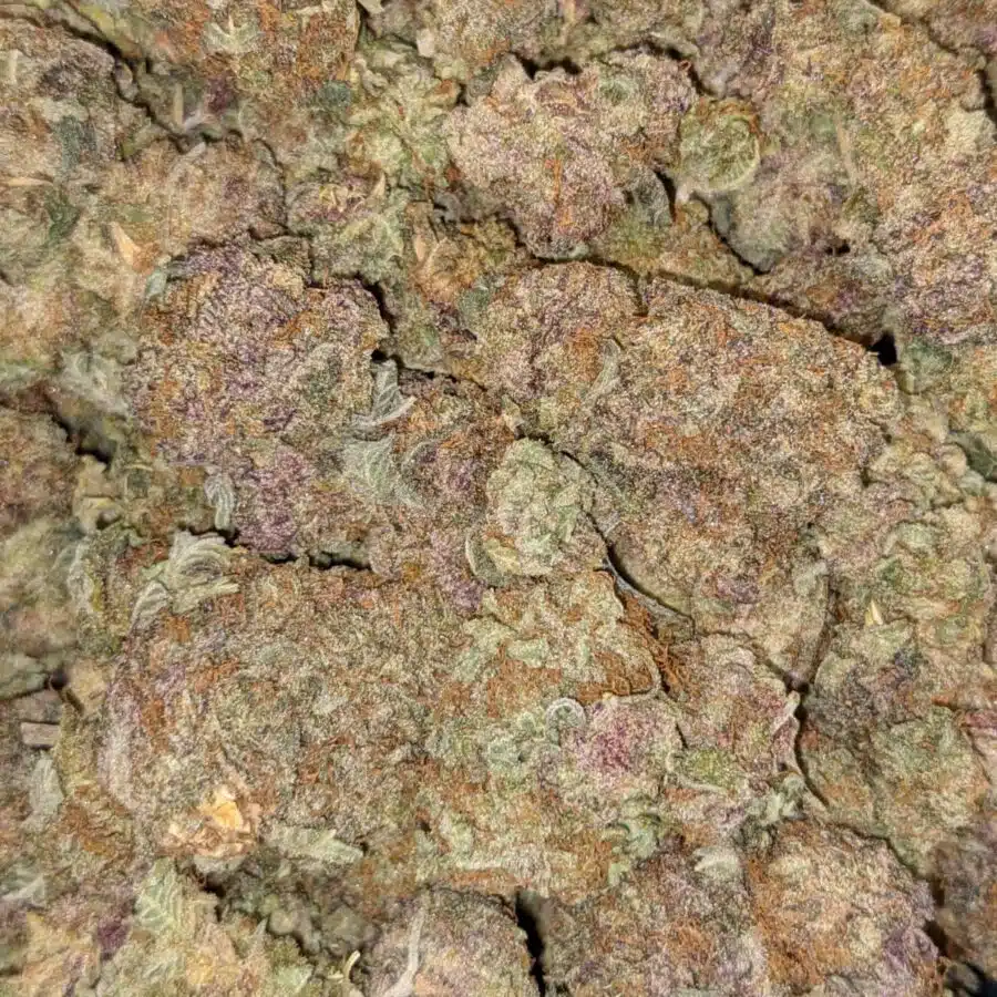 Alternative view of $59 Oz - Durban Poison