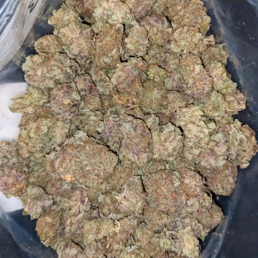 59 DURBAN POISON 2 I $59 Oz - Durban Poison