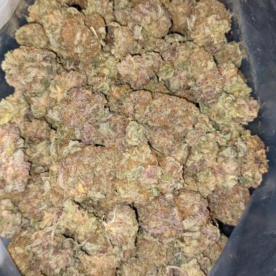 59 DURBAN POISON 3 I $59 Oz - Durban Poison
