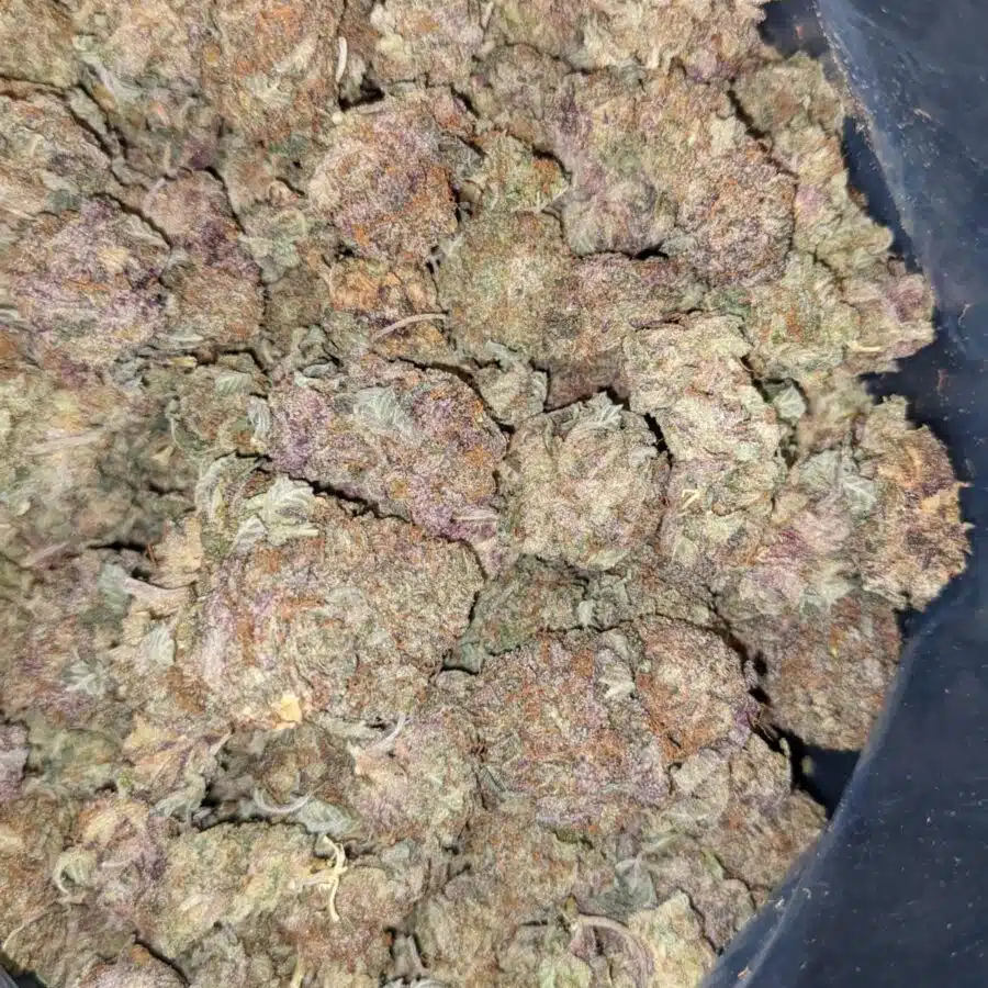 59 DURBAN POISON 4 I $59 Oz - Durban Poison