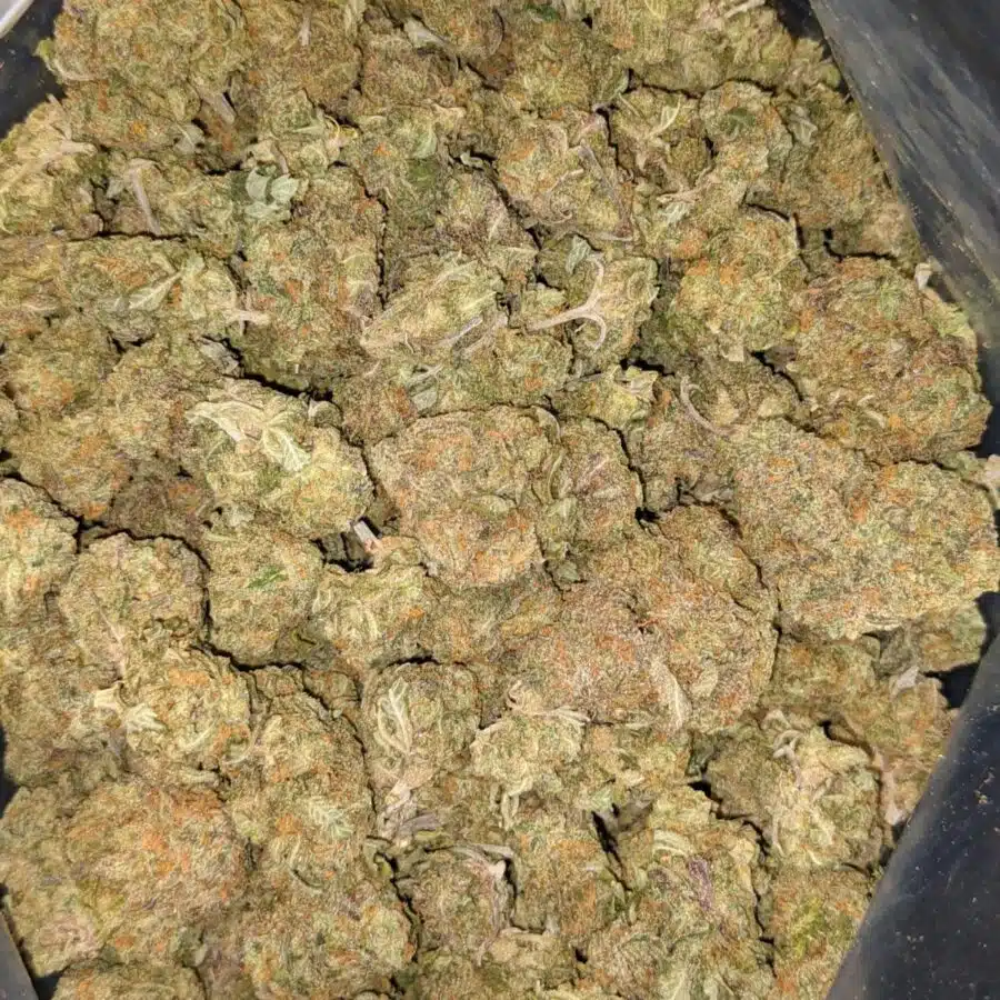 59 SWEET KUSH 3 I $59 Oz - Sweet Kush