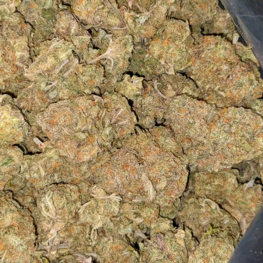 59 SWEET KUSH 4 I $59 Oz - Sweet Kush