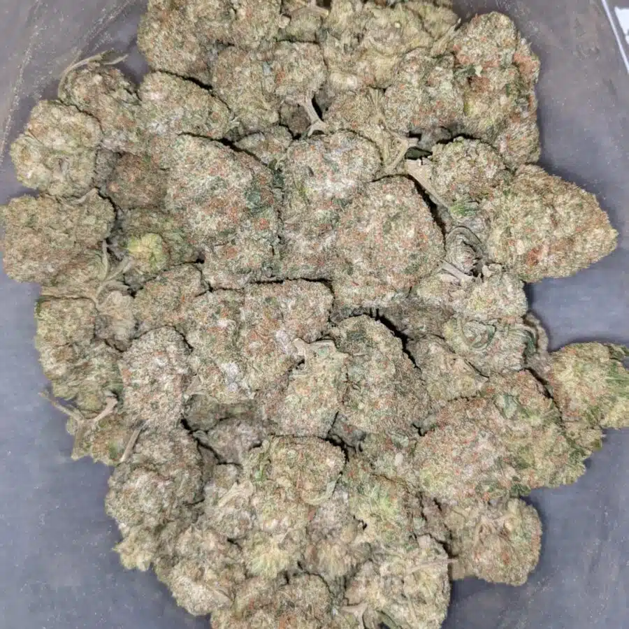 69 BRUCE BANNER 1 I $99 Oz - Bruce Banner