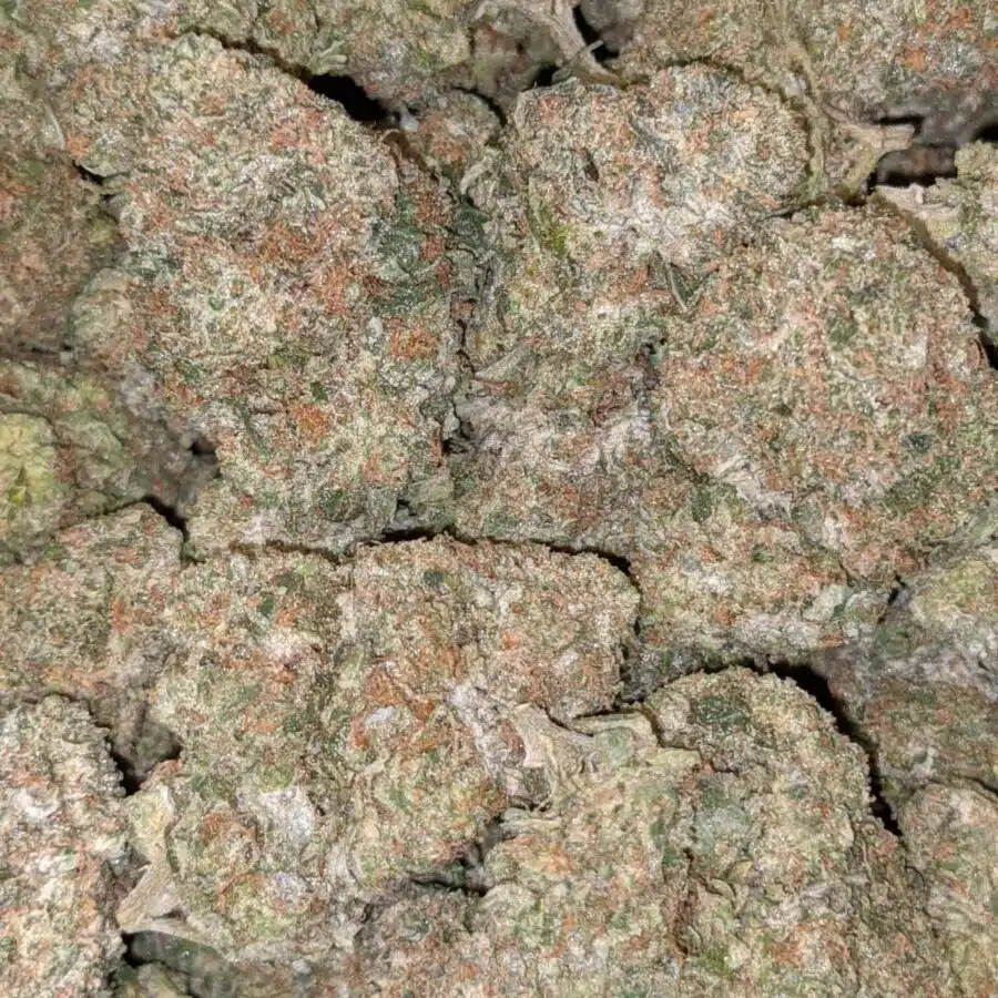 69 BRUCE BANNER 3 I $99 Oz - Bruce Banner