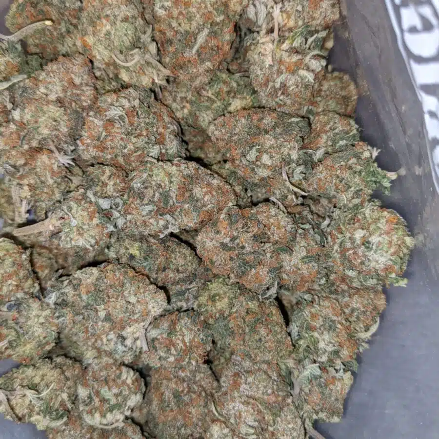 COFFEE KUSH DOD 1 I Coffee Kush - *Deal of the Day*