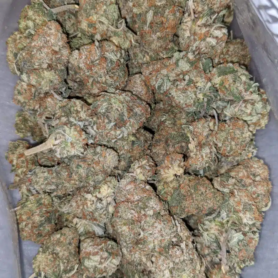 COFFEE KUSH DOD 2 I Coffee Kush - *Deal of the Day*