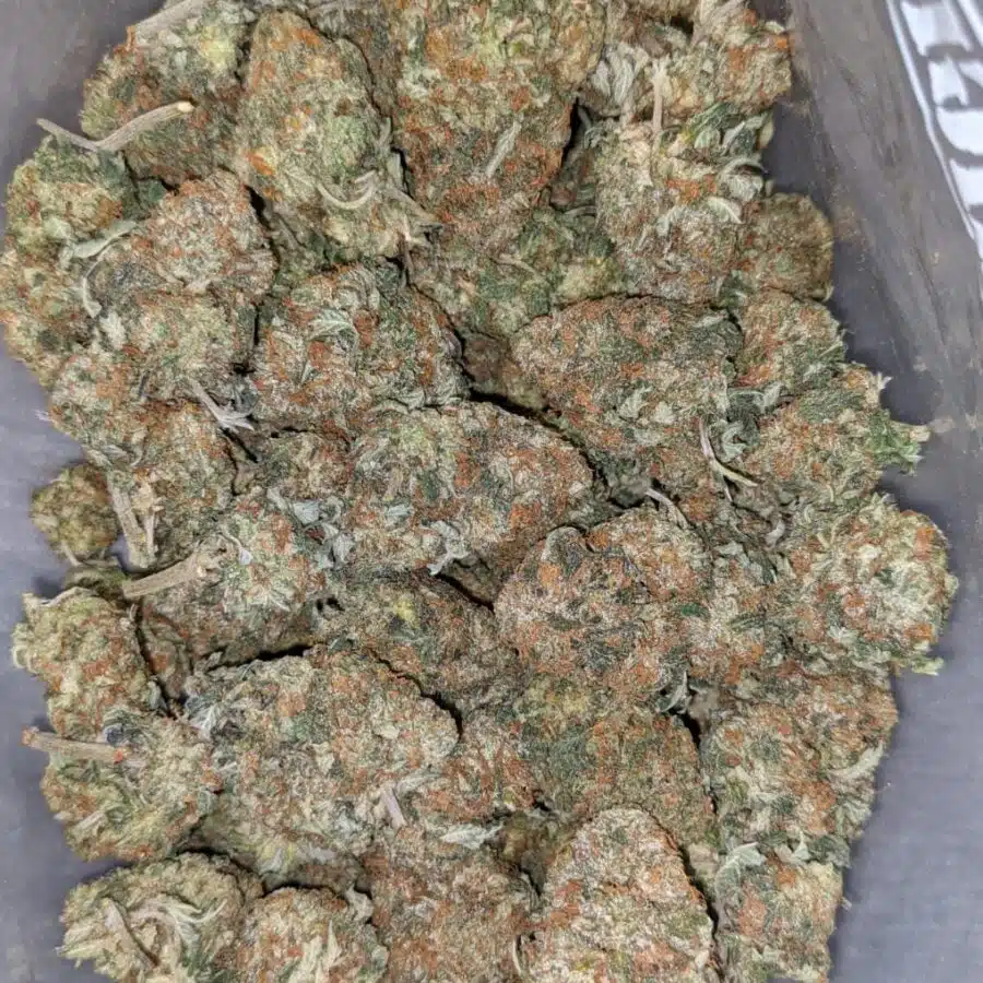 COFFEE KUSH DOD 3 I Coffee Kush - *Deal of the Day*