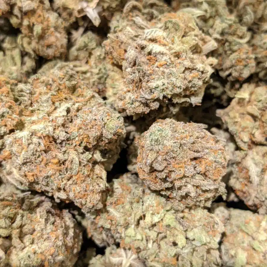 DUKE NUKEM 2 I $113 Oz - Duke Nukem