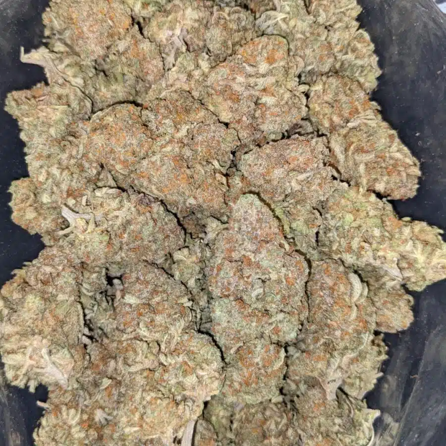 DUKE NUKEM 3 I $113 Oz - Duke Nukem