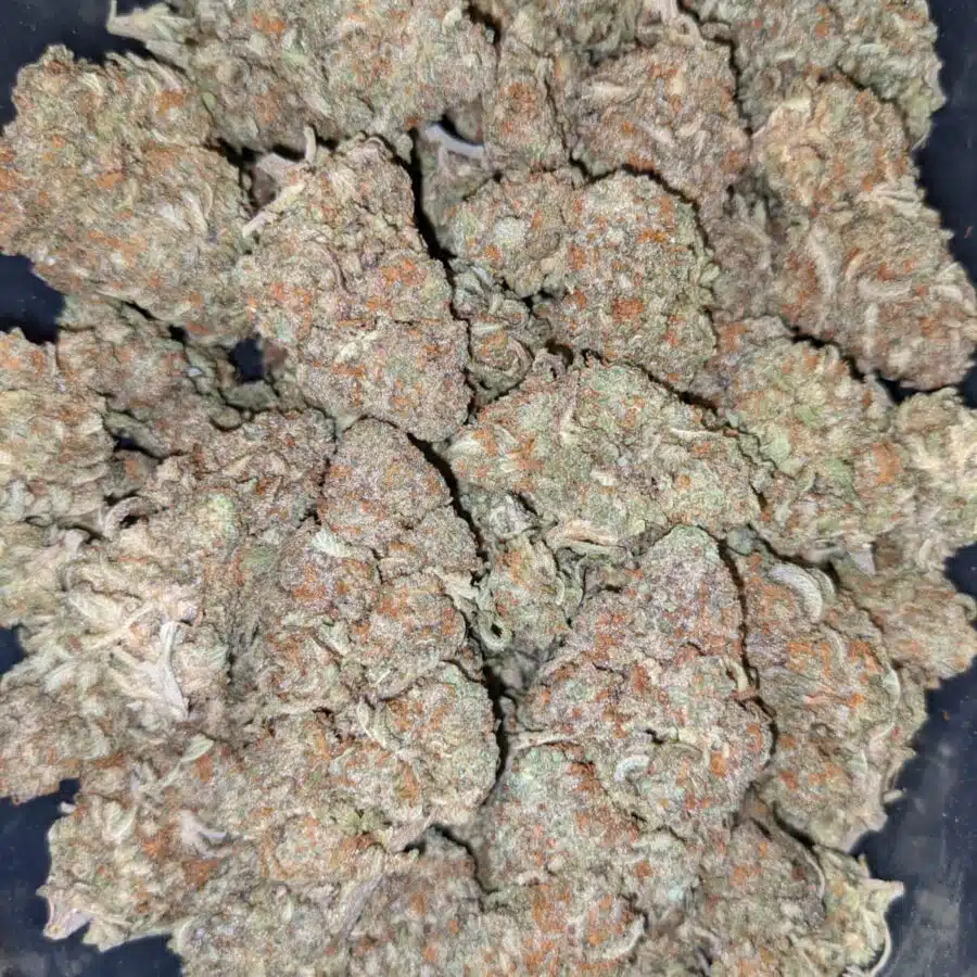 DUKE NUKEM 6 I $113 Oz - Duke Nukem