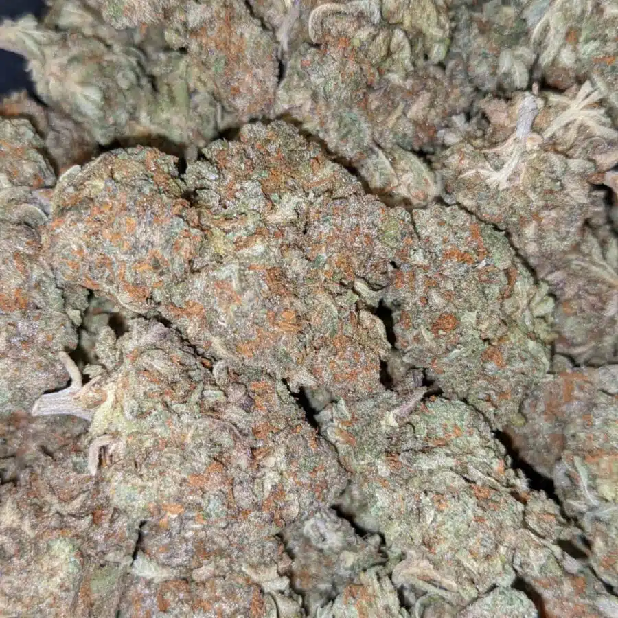 DUKE NUKEM 7 I $113 Oz - Duke Nukem