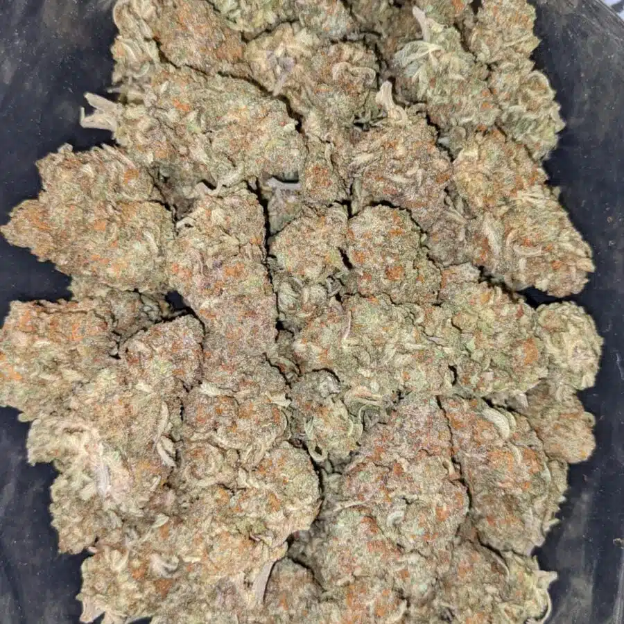 DUKE NUKEM 8 I $113 Oz - Duke Nukem
