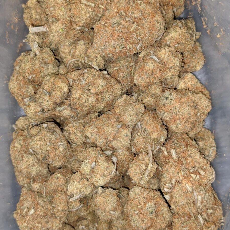 DURIAN GELATO AA 4 I Durian Gelato AA+