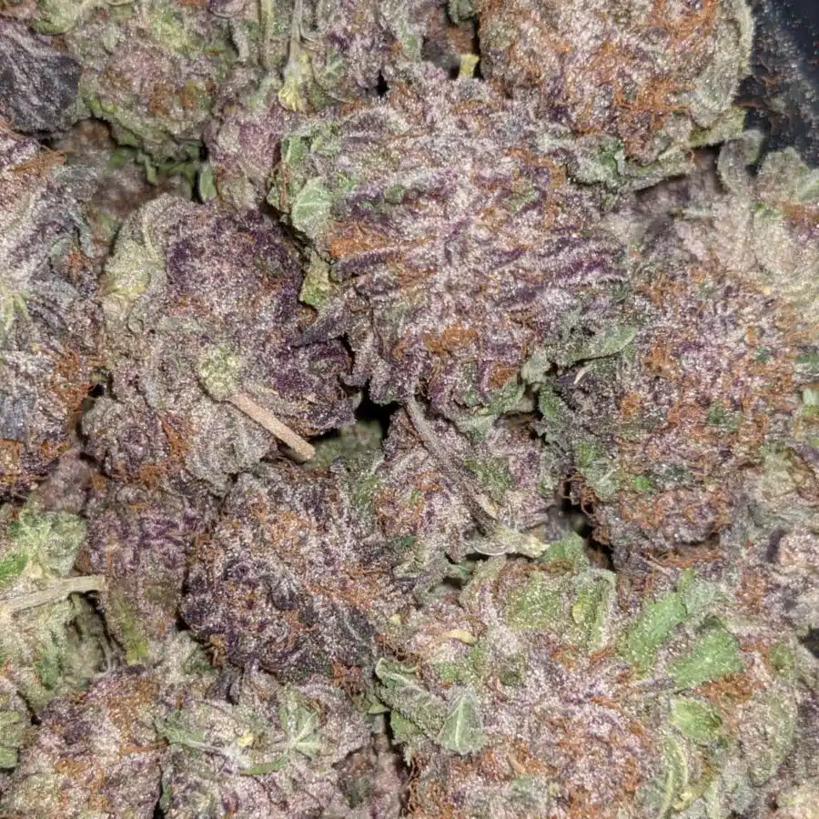 GOD GREEN CRACK 1 1 I $103 Oz - God's Green Crack