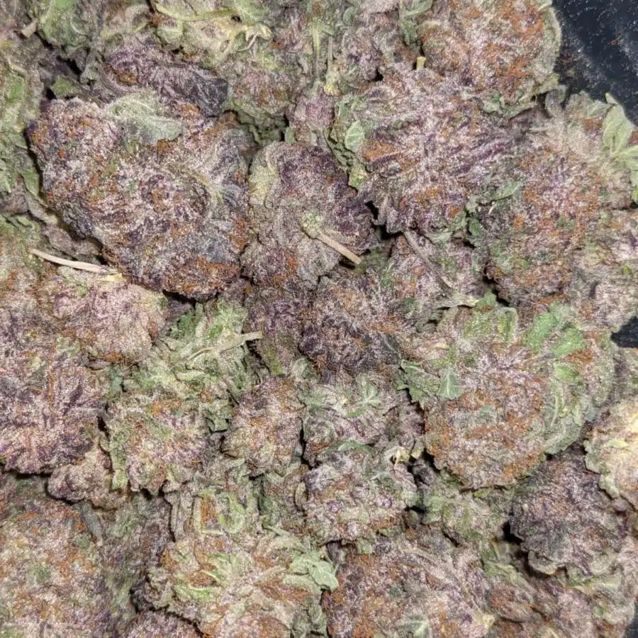 GOD GREEN CRACK 2 1 I $103 Oz - God's Green Crack