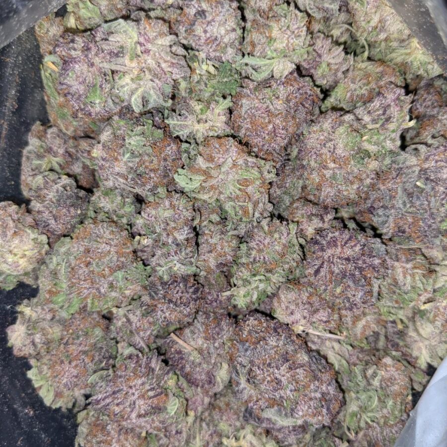 GOD GREEN CRACK 3 1 I $103 Oz - God's Green Crack