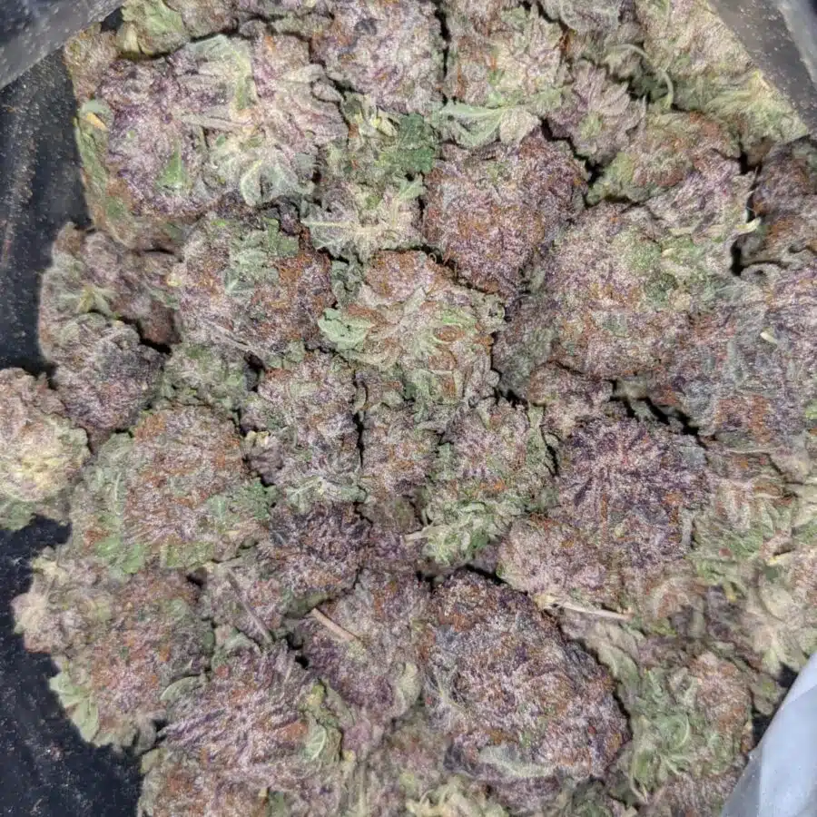 GOD GREEN CRACK 3 1 I $103 Oz - God's Green Crack