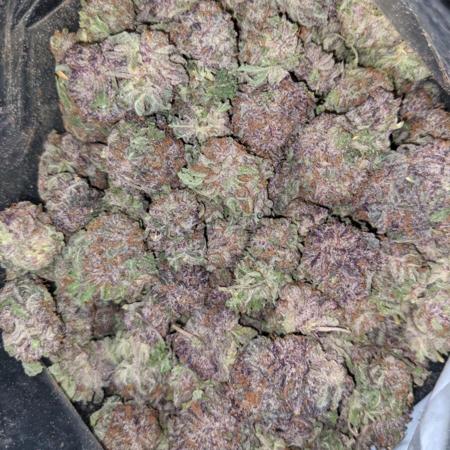 GOD GREEN CRACK 4 1 I $103 Oz - God's Green Crack