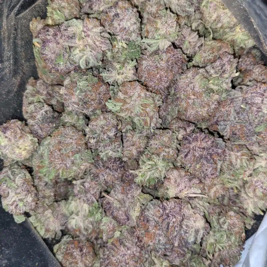 GOD GREEN CRACK 4 1 I $103 Oz - God's Green Crack