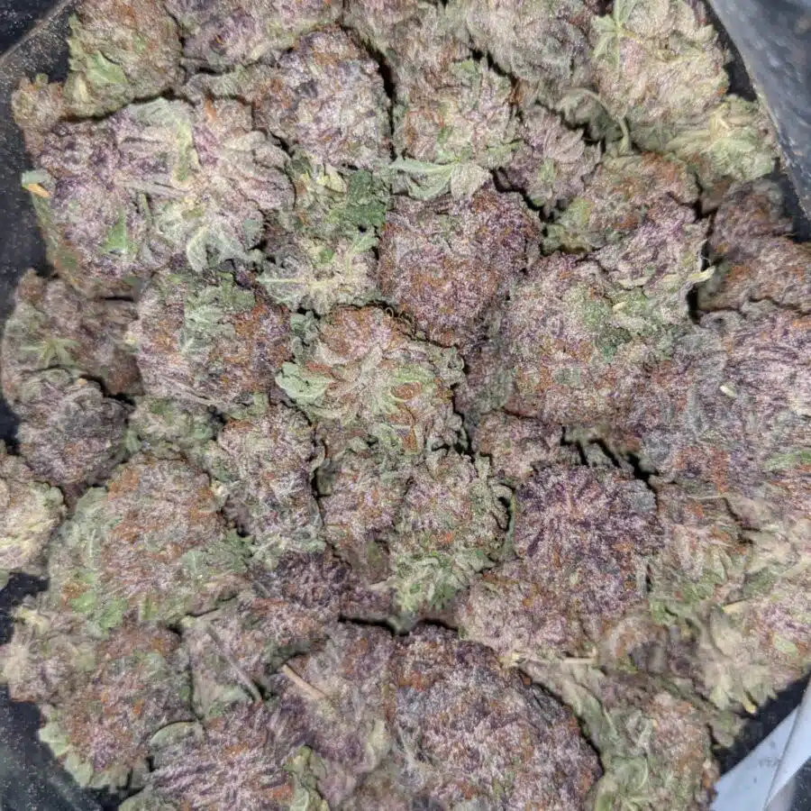 GOD GREEN CRACK 6 1 I $103 Oz - God's Green Crack